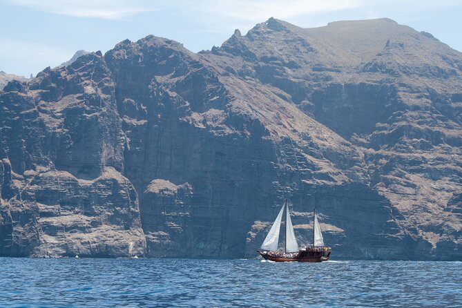 Whale Safari to Los Gigantes with pickup from North - What the whale search is really like