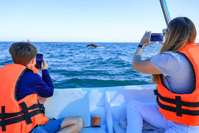 Whale Tour, Arch, Professional Photos & Hydrophone - What this Cabo whale tour is really about