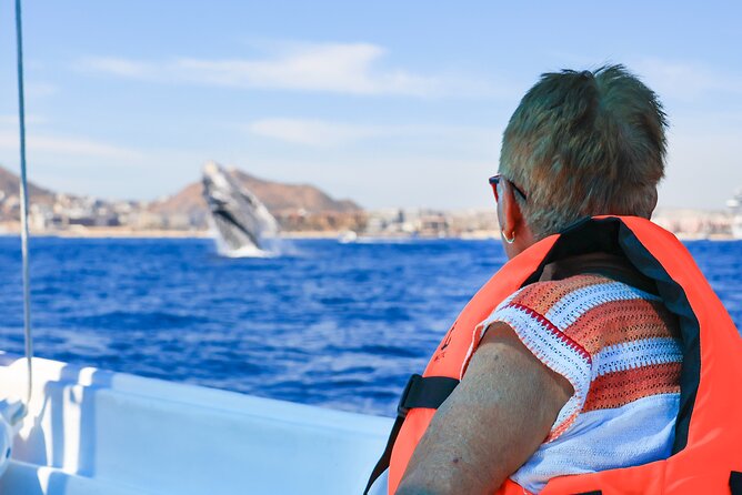 Whale Tour, Arch, Professional Photos & Hydrophone - Watching whales with a respectful distance