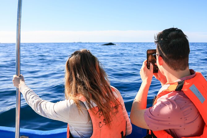 Whale Tour, Arch, Professional Photos & Hydrophone - What the professional photos add