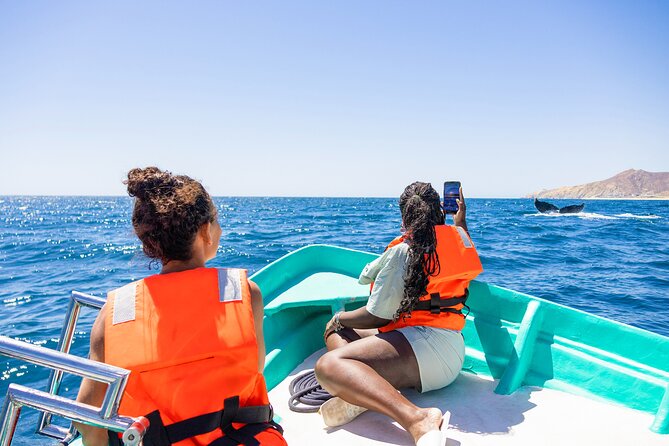 Whale Tour, Arch, Professional Photos & Hydrophone - Starting at the Cabo marina