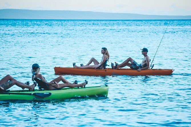 Whale Watch and Scenic Tour from Kayak - How much value do you get?