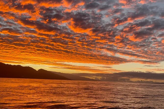 Whale Watch and Scenic Tour from Kayak - Peddling along the West Maui coast
