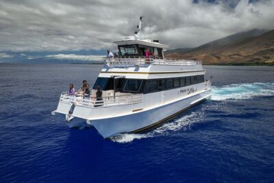 Whale Watch and Turtles Snorkel
