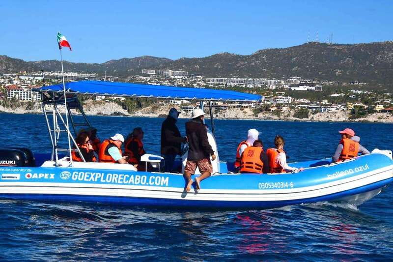 Whale Watch Cabo: Zodiac Whale Adventure - FREE Photos - Timing, cancellations, and planning tips