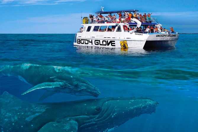 Whale Watch Excursion from the Big Island - Listening through the hydrophone