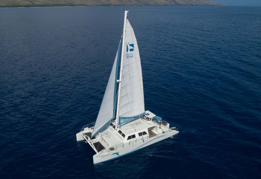 Whale Watch Sail Ma'alaea - Ocean Spirit Offers Room to Watch