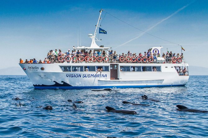 Whale watching - Setting Out From Punta de Mita