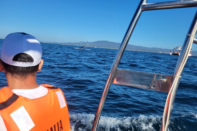 Whale watching 3 hours in Puerto Vallarta - Who should book this trip?