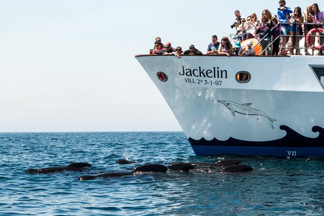 Whale watching - What the Two-Hour Itinerary Really Means