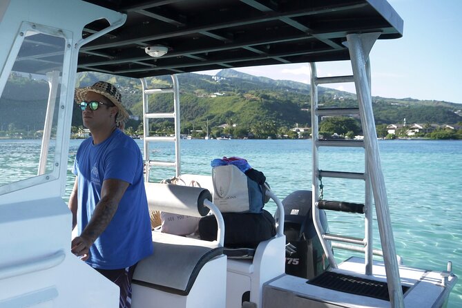 Whale Watching Activity - What the Wildlife Encounters Can Really Be Like