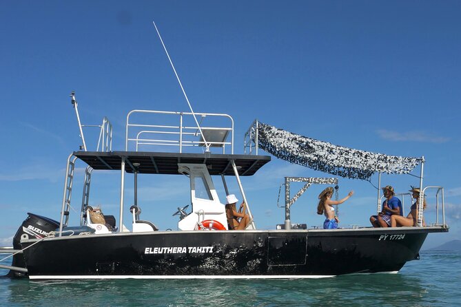 Whale Watching Activity - Humpback Whales From August Through November