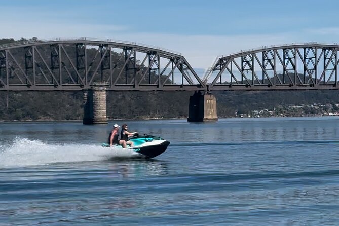 Whale Watching Adventure Cruise - Should you book the Whale Watching Adventure Cruise?