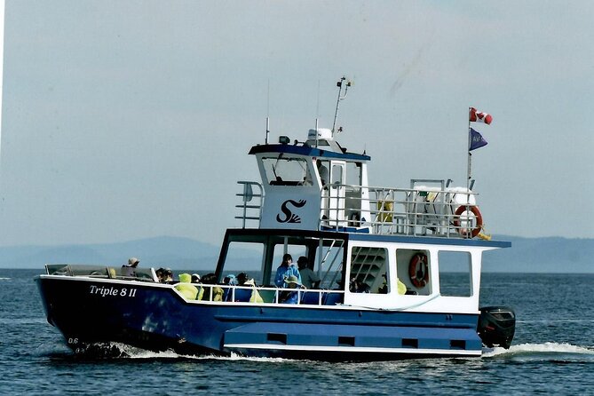 Whale Watching Adventure from Vancouver BC - What the Crew Adds to the Day
