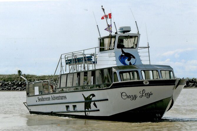 Whale Watching Adventure from Vancouver BC - Who Will Enjoy This Most?