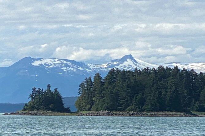 Whale Watching Adventure in Juneau - Is $154 a fair price?