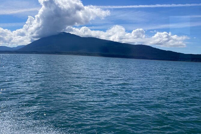 Whale Watching Adventure in Juneau - Who should book this experience?