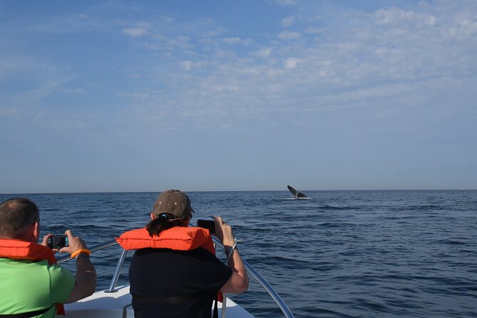 Whale Watching Adventure – Led by a Marine Biologist - Guides and captains make a real difference