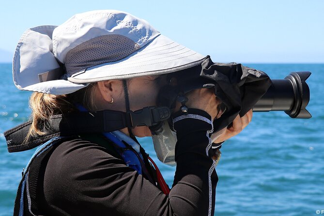Whale Watching Adventure – Led by a Marine Biologist - Is the marine biologist worth the extra value?
