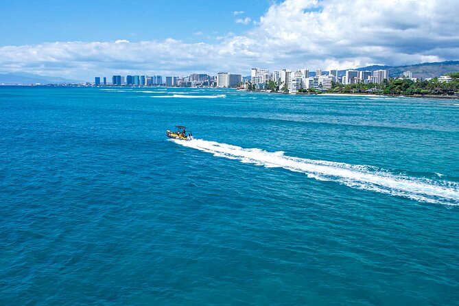 Whale Watching Adventure -Speed Boat & Small Group - What the crew adds to the outing