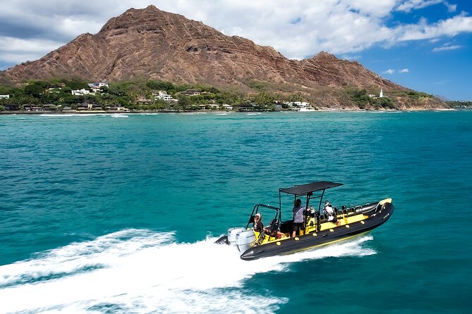 Whale Watching Adventure -Speed Boat & Small Group - A close look at the six-person format