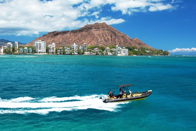 Whale Watching Adventure -Speed Boat & Small Group - Kewalo Basin to the open water