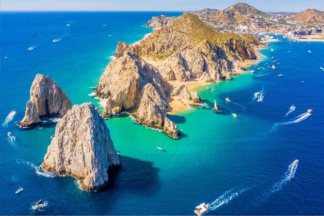 Whale Watching and Cabo San Lucas Arch - Who will enjoy this tour most?