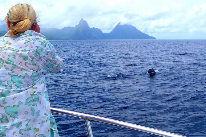 Whale Watching and Dolphin Spotting Cruise - Quick points before you book