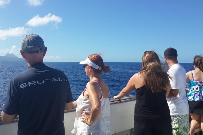 Whale Watching and Dolphin Spotting Cruise - Leaving Choc at 8:00 in the morning