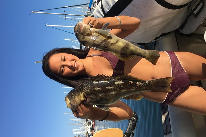 Whale Watching and Fishing Combination Excursions - What the $170 Price Delivers