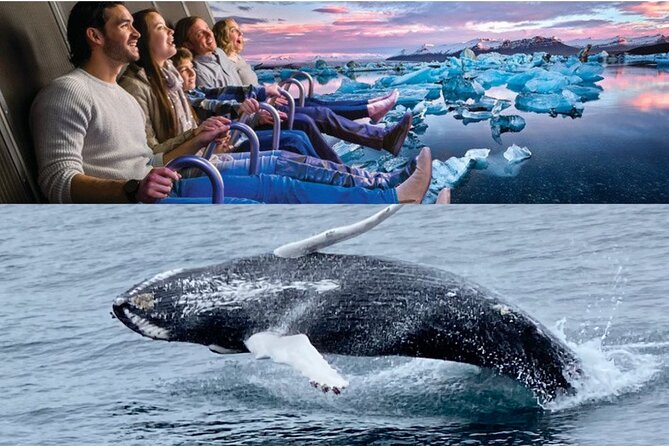 Whale Watching And Fly Over Iceland Guided Tour - Faxafloi Bay: the real adventure comes first