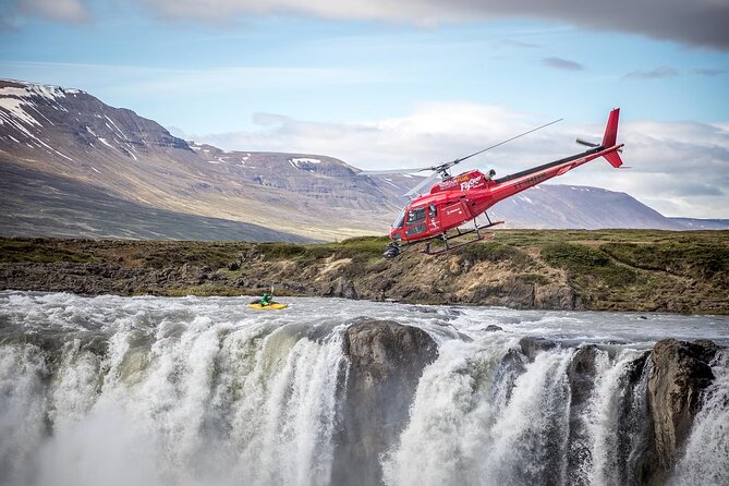 Whale Watching And Fly Over Iceland Guided Tour - Is $146 a fair price?