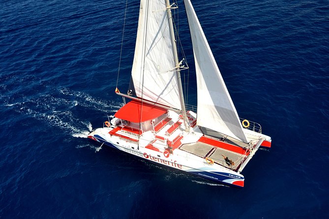 Whale watching and listening Eco-Catamaran Tour with Food Tasting - From Puerto Colón to open water