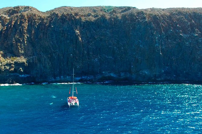 Whale watching and listening Eco-Catamaran Tour with Food Tasting - Swimming at the bay and seeing fish below