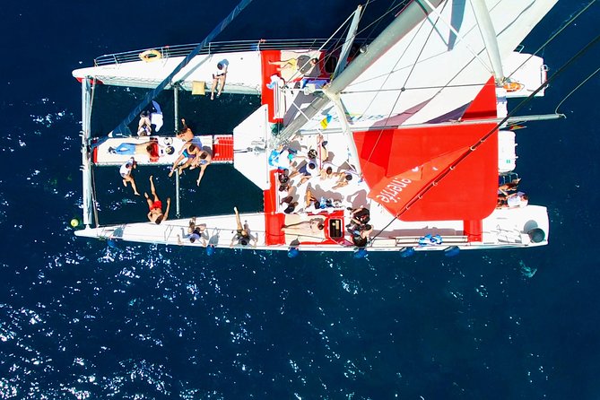 Whale watching and listening Eco-Catamaran Tour with Food Tasting - What you get to eat and drink