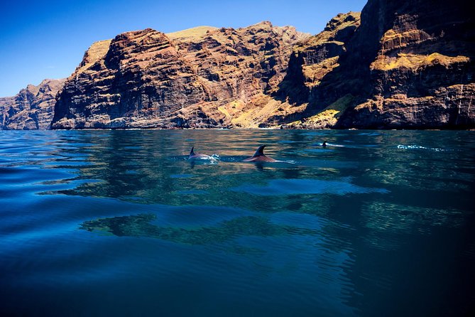 Whale watching and listening Eco-Catamaran Tour with Food Tasting - Space, comfort, and the 64-person limit
