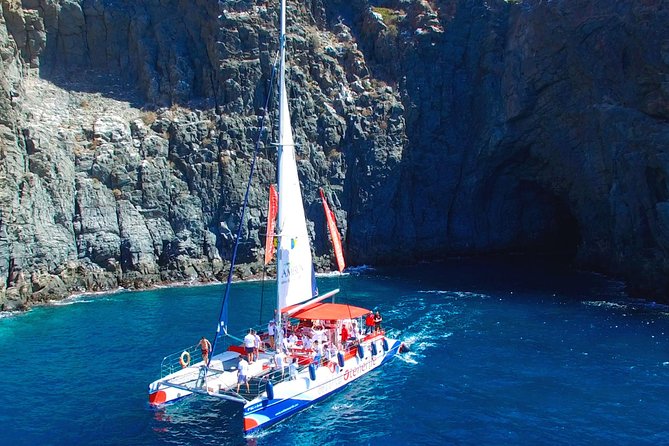 Whale watching and listening Eco-Catamaran Tour with Food Tasting - The crew makes the difference