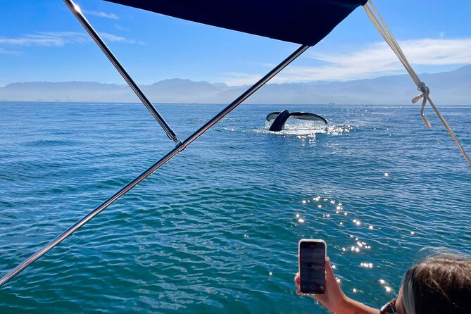 Whale Watching and Los Arcos 5 Islands Adventure - Why this boat trip works well in Puerto Vallarta
