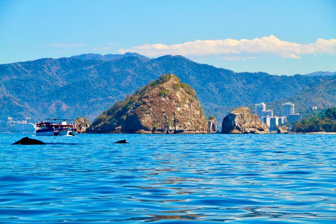 Whale Watching and Los Arcos 5 Islands Adventure - Two hours in Banderas Bay
