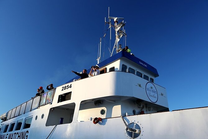 Whale Watching and Marine Life Tour in Reykjavik - Is $98 a fair price?