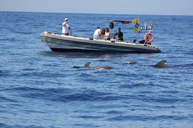 Whale Watching and Marine Science Tour - Hearing the ocean with a hydrophone