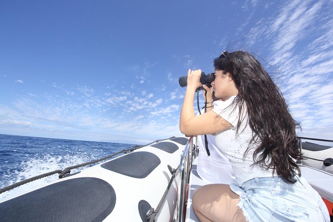 Whale Watching and Marine Science Tour - What the science focus adds