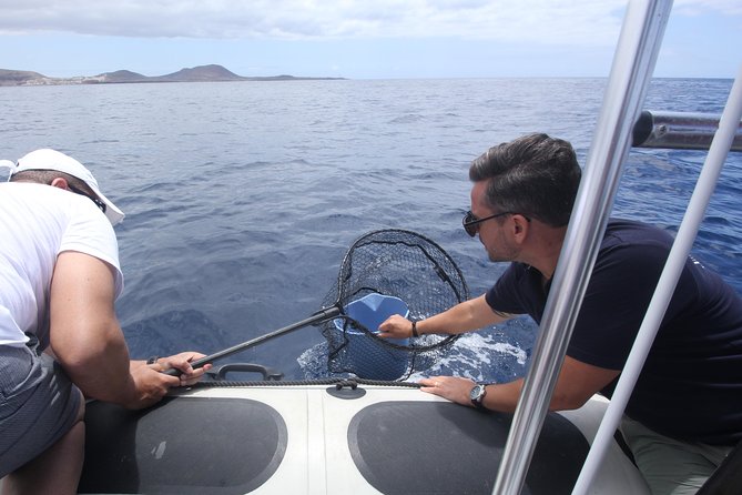 Whale Watching and Marine Science Tour - Is $90.70 a fair price?