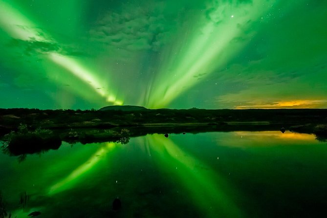 Whale Watching and Northern Lights Half-Day Combo Tour - Is $176 a fair price?