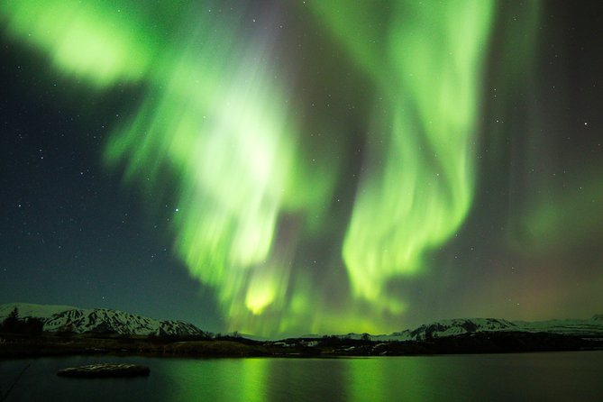 Whale Watching and Northern Lights Half-Day Combo Tour - Daylight whale watching on Faxafloi Bay