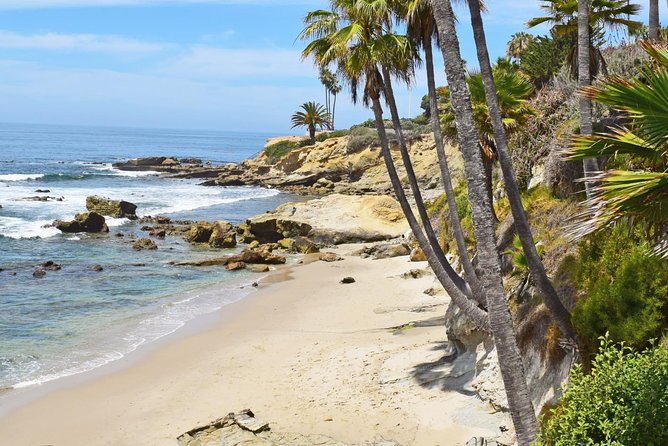 Whale-Watching and Orange County Beaches Tour from Anaheim - Newport Beach and the three-hour ocean outing