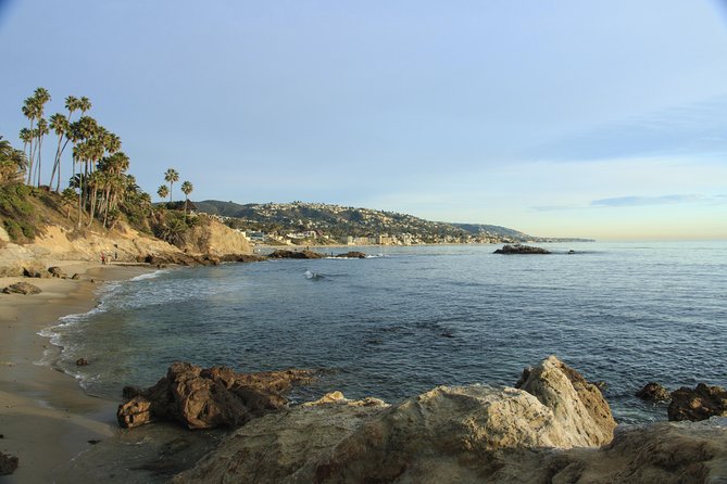 Whale-Watching and Orange County Beaches Tour from Anaheim - Practical advice for a smoother day