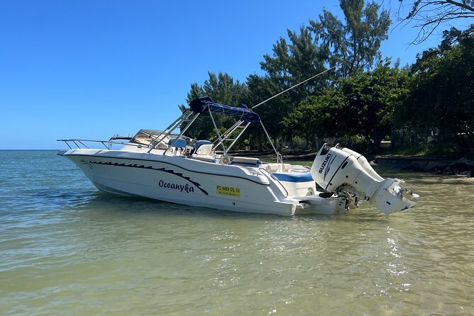 Whale Watching and Private Ocean Safari Experience in Mauritius - Why this Mauritius safari feels different