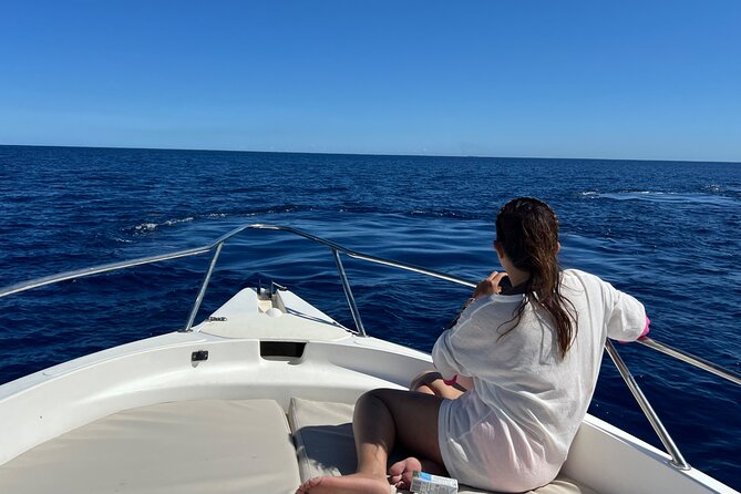 Whale Watching and Private Ocean Safari Experience in Mauritius - The 28-foot boat and the ride offshore