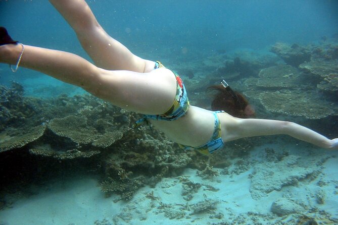 Whale Watching and Private Ocean Safari Experience in Mauritius - Dolphins, swimming, and the view of Le Morne